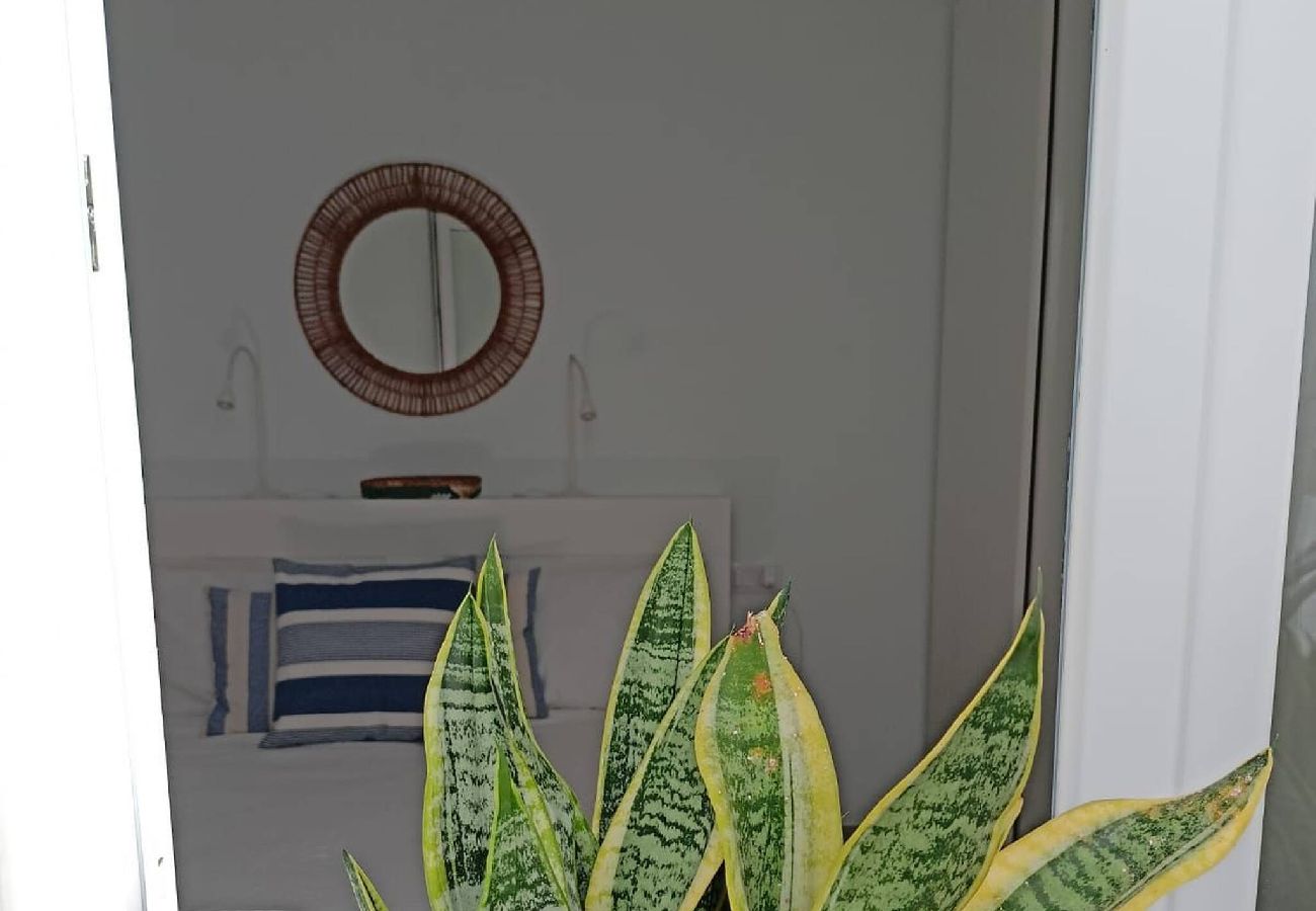 House in  Famara - Caleta de Famara. Cosy and spacious house!